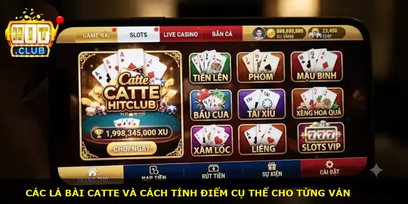 Catte Hitclub - ảnh 2