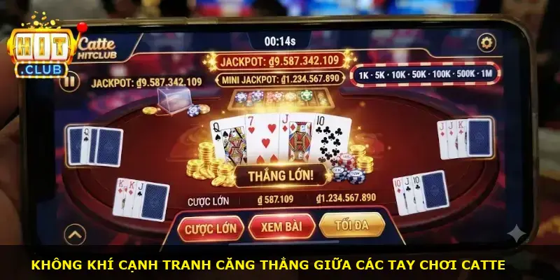 Catte Hitclub - ảnh 1